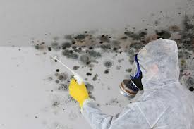 Best HVAC Mold Inspection and Cleaning  in Oldsmar, FL